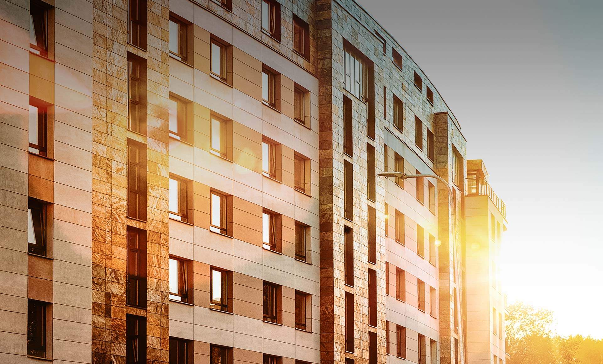 shutterstock_1457825351_header